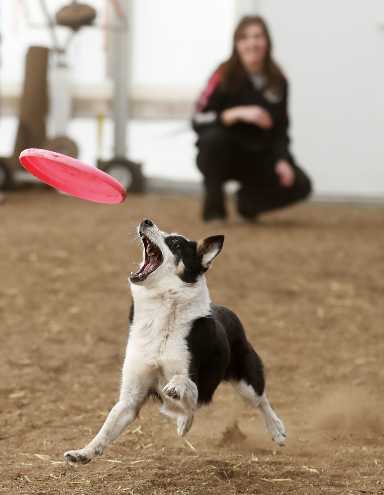 Concentration